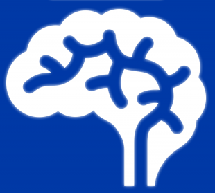 Plik:Mózg z logo Postprawda Stop.png