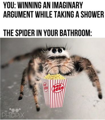 Obrazek w formie anglojęzycznego mema internetowego. Na górze znajduje się tekst o treści "YOU: Winning an imaginary argument while taking a shower". Niżej pod nim jest kolejny tekst o treści "The spider in your bathroom:". Pod napisem widać pająka trzymającego popcorn.