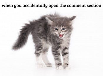 Gdy otworzysz sekcję komentarzy kot.jpg