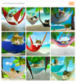 Cat in hammock in a tropical island